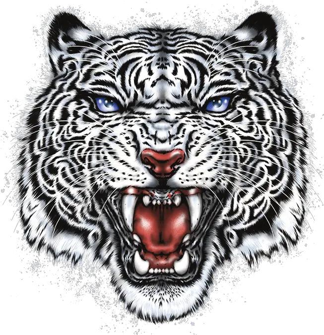  White Tiger Head Stock Transfer Transparent Tiger Head Png Tiger Head Png