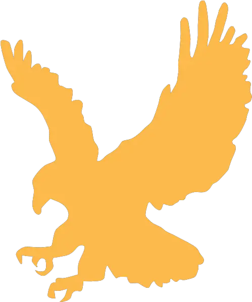  Cartoon Golden Eagle Flying Images Pictures Eagle Clip Art Eagle Clip Art Png Eagle Flying Png