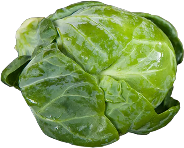  Brussels Sprouts Sprouts Big Png Sprout Png