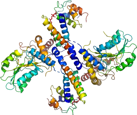  Cysteine Desulfurase Mitochondrial Lyr Clip Art Png Mitochondria Png