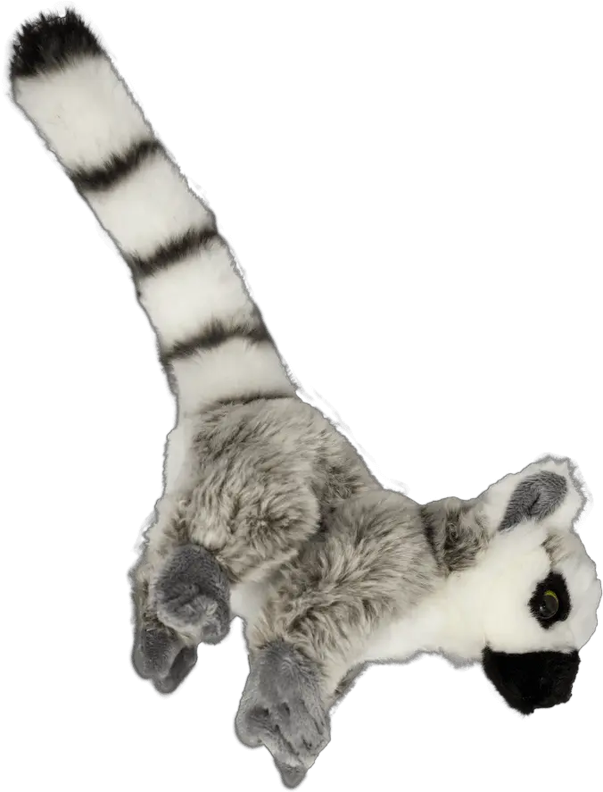  Lemur Png Images Transparent Background Play Ring Tailed Lemurs Transparent Tail Png