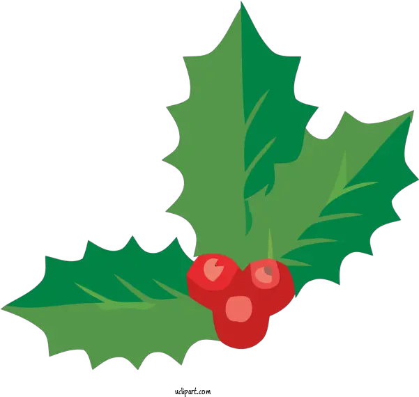  Holidays Holly Leaf Grape Leaves For Bannai Shokud Png Holly Leaves Png