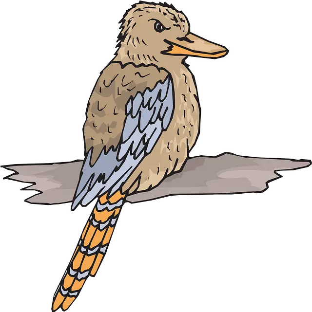  Bird Wood Wings Free Vector Graphic On Pixabay Kookaburra Clipart Png Wings Clipart Png