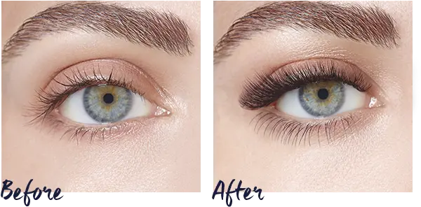  Nouveau Lashes The Beauty Rooms At The Nibblers U2014 The Extension Lashes 1 1 Png Lashes Png