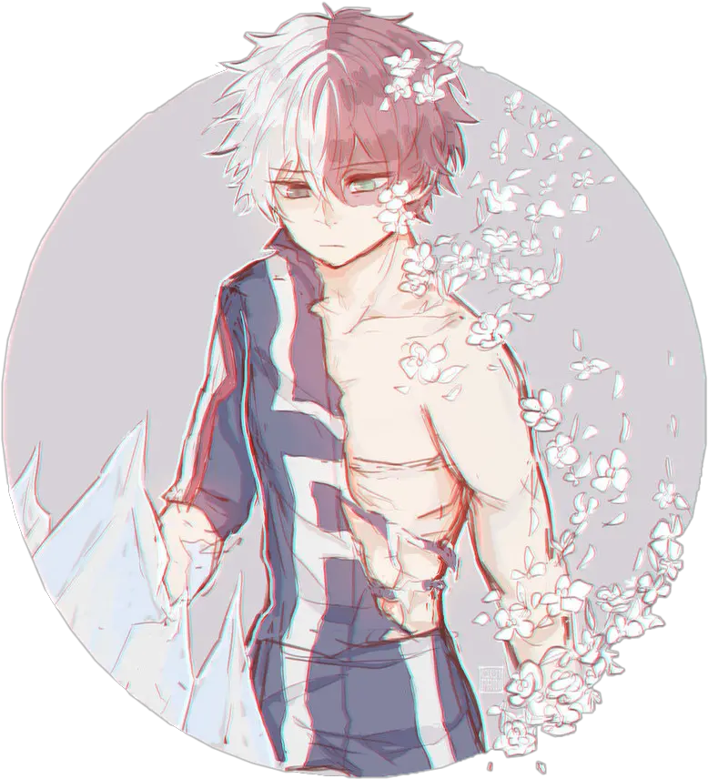  Download Todorokishouto Todoroki Shoutotodoroki My Hero Academia Todoroki Shouto Cute Png Todoroki Png