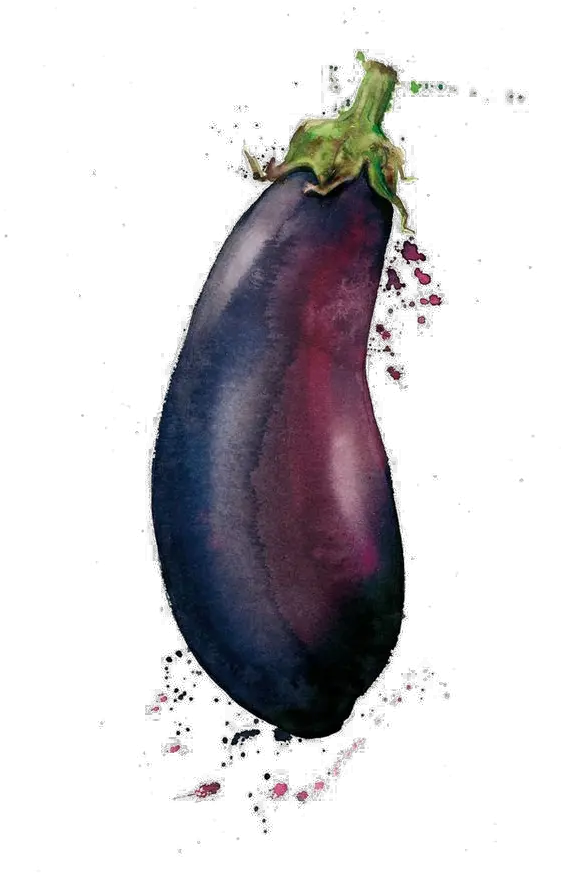  Download Watercolor Painting Vegetable Drawing Illustration Eggplant Watercolor Painting Png Eggplant Transparent Background