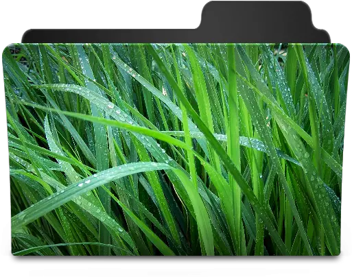  Grass I Icon Folder Grass Png Grass Icon