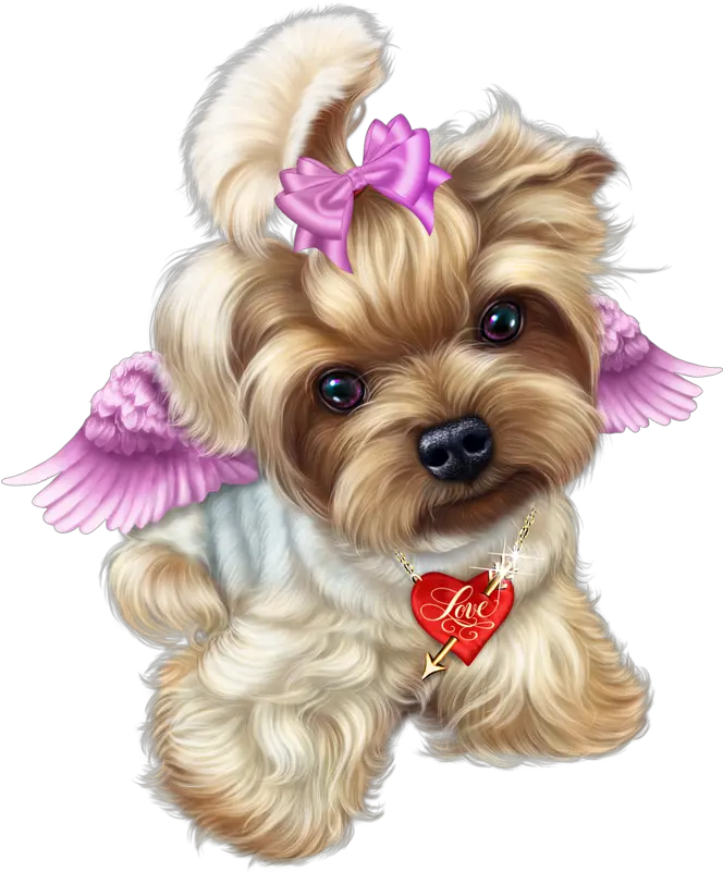  Clipart Puppy Maltipoo Transparent Dog Clip Art Valentines Png Puppies Png