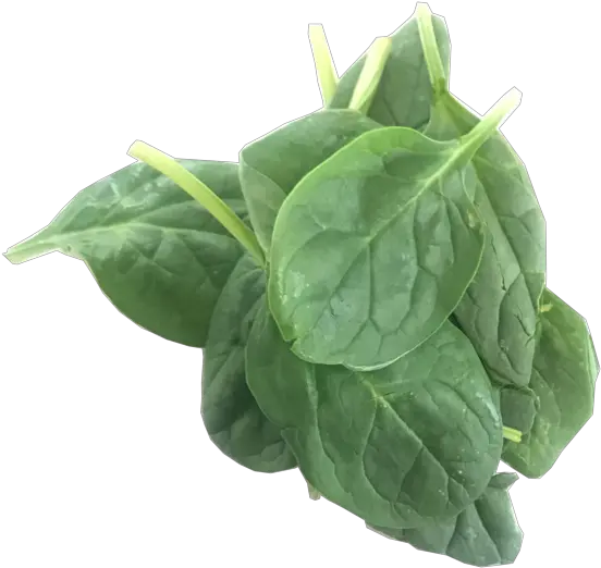  Spinach Transparent Png Image Baby Spinach Png Spinach Png