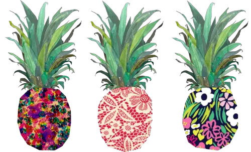  Png Tumblr Transparent Donut Pineapple Desktop Backgrounds Pineapple Transparent