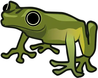  2019 Evening Of The Frogs Stockholms Tree Frog Png Frog Png