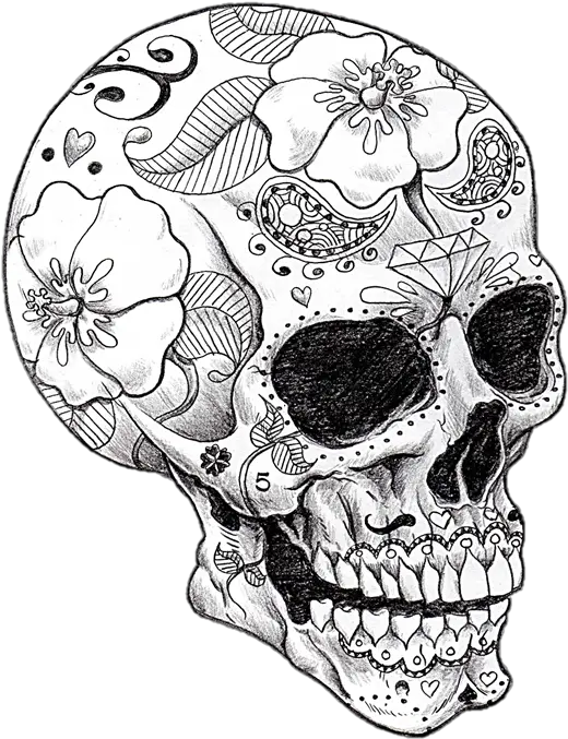  Vector Library Cool Art Coloring Pages For Adults Png Skull Drawing Png