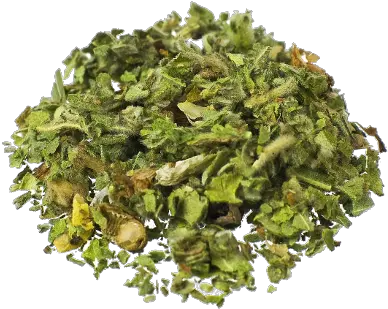  Marshmallow Althaea Officinalis 25 Gram Tieguanyin Png Herb Png