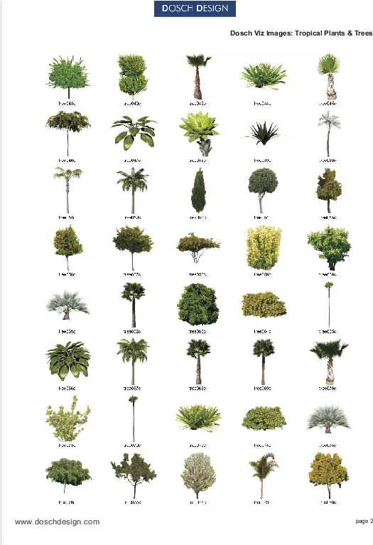  Dosch Design Dosch 2d Vizimages Tropical Plants U0026 Trees Teasel Png Bushes Transparent