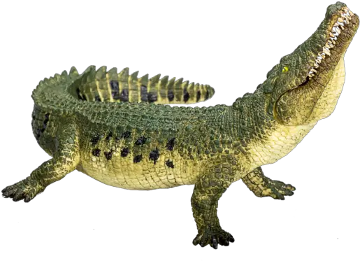  Crocodile With Articulated Jaw Mojo Mojo Crocodile Png Crocodile Png