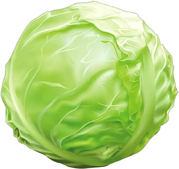  Cabbage Transparent Background Cabbage Clipart Png Cabbage Transparent