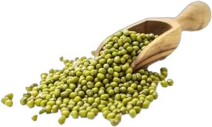  Mung Bean Png Free Image Large Green Mung Beans Bean Png