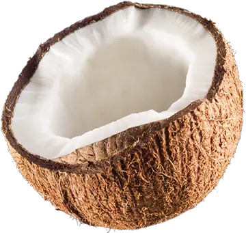  Jax Coco Jax Coco Is 100 Pure Coconut Water With Coconut Png Coconut Png