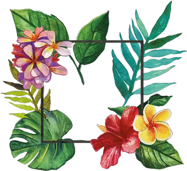  Download Hd Tropical Frame Floral Decal Marcos Tropical Png Tropical Png