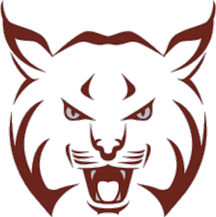  Bobcat Clipart School Transparent Free For Beaver High School Pa Png Bobcat Png