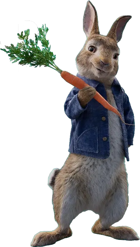  Peter Rabbit Png Picture Peter Rabbit Movie Characters Peter Rabbit Png