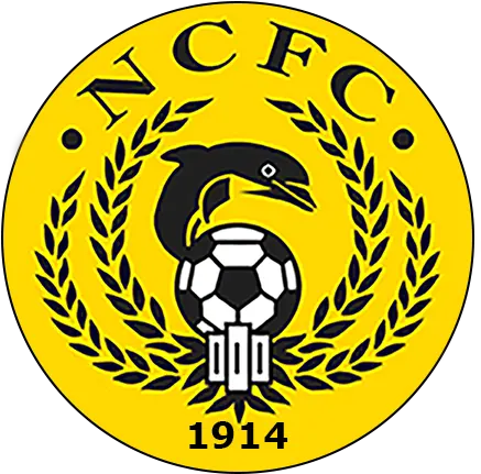  Shire Announce 1st Pre Season Friendly For 201920 East Nairn County Fc Png Friday The 13th Game Logo