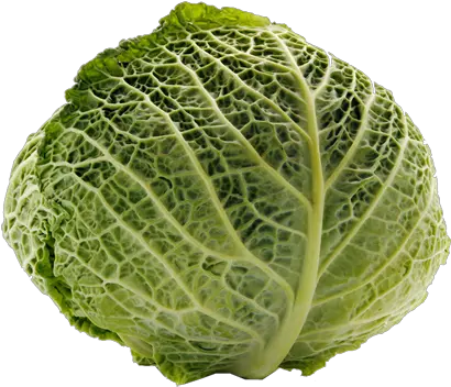  Cabbage Transparent Png Portable Network Graphics Cabbage Png