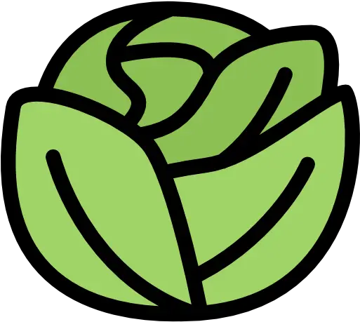  Cabbage Free Food Icons Cabbage Icon Png Cabbage Png