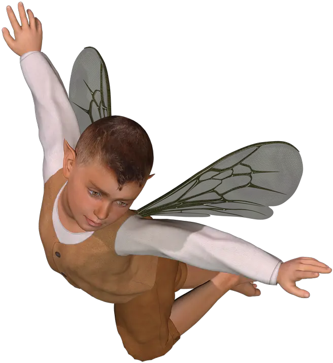  Boy Fairy Png U0026 Free Fairypng Transparent Images 11938 Fairy Boy Png Fairy Png Transparent