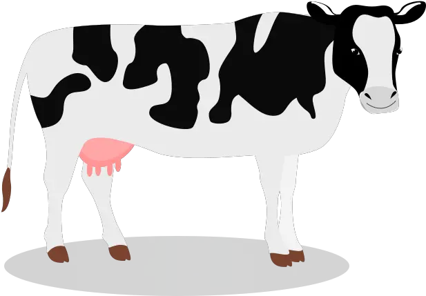  Png Background Cow Transparent Background Clipart Cow Transparent