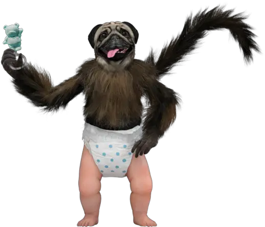  New Licensing Deal For Mtn Dew Kickstartu0027s Puppymonkeybaby Drawing Puppy Monkey Baby Png Mountain Dew Transparent Background