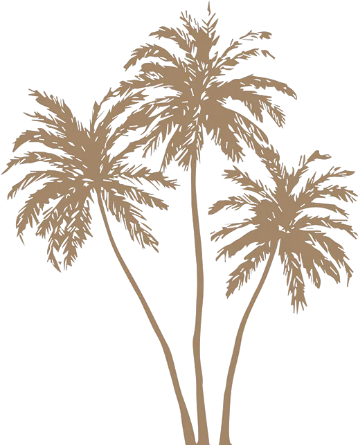  Gold Palm Leaves Png Image Free Stock Gold Palm Leaves Png Palm Tree Leaves Png