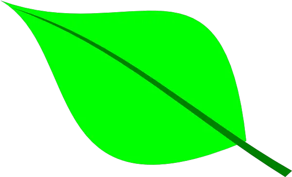  Clipart Clipart Leafs Png Leaves Clipart Png