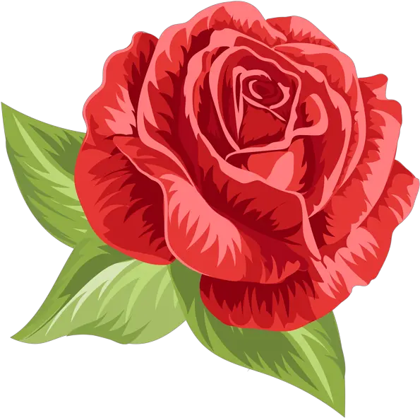  Rose Png Rose Png Roses Transparent