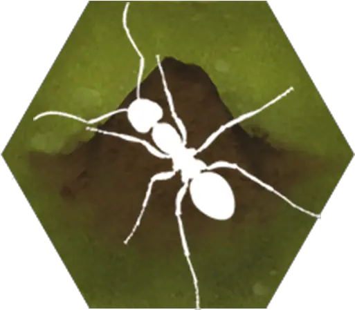  Download Finally Ants Apk For Android Ant Png Ants Png