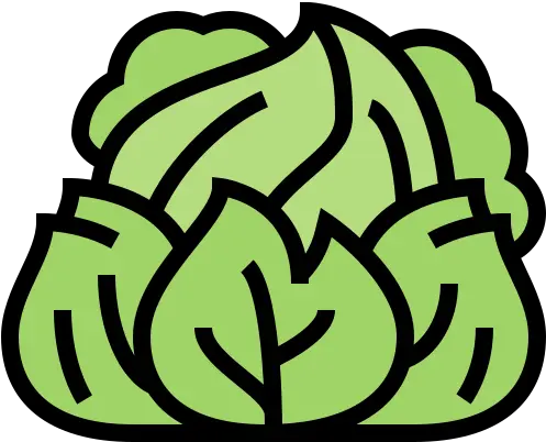  Cabbage Free Food And Restaurant Icons Png Cabbage Icon