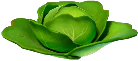  Cabbage Fortnite Loot U2022 Statsnite Png Icon