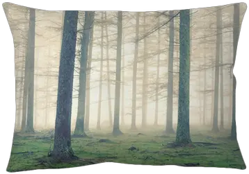  Forest With Fog And Vintage Effect Pillow Cover U2022 Pixers We Live To Change Cushion Png Fog Effect Png