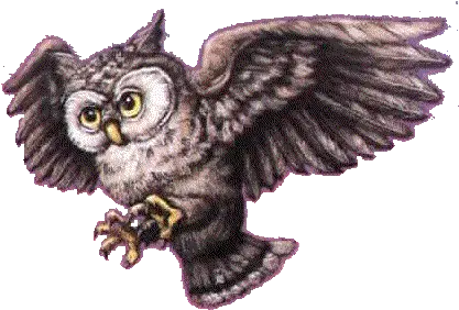  Download Harry Potter Png Image Clipart Free Great Grey Owl Harry Potter Png