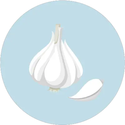  Garlic Palmer Kippola Elephant Garlic Png Garlic Png