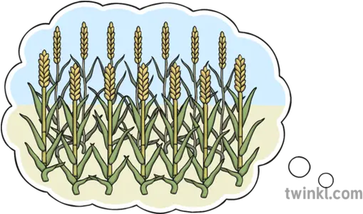  Dream Of Seven Thin Corn Stalks And Fat 1 Pharaoh Dream Png Corn Stalk Png