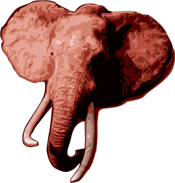  African Elephant Head Png Elephant Head Png