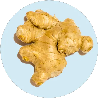  Vital Turmeric Gummies U2022 Wellpath Galangal Png Ginger Root Icon