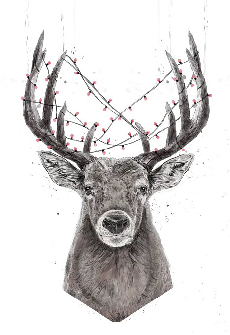  Xmas Deer Kids T Xmas Deer Png Deer Icon Tumblr