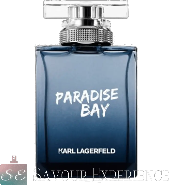  Karl Lagerfeld Paradise Bay For Men Dolce Gabbana Png Karl Lagerfeld Icon