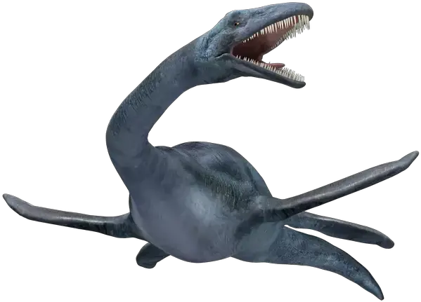  Loch Ness Monster Png 7 Image Loch Ness Monster Png Ness Png