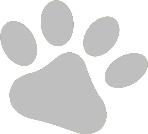  White Paw Print Transparent Background Best Png Prints