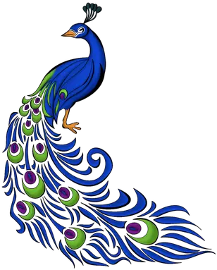  Feather Drawing Png Images Peacock Png Feather Drawing Png