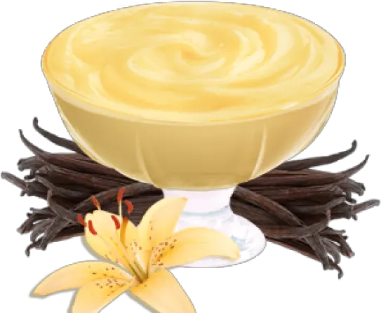  Download Vanilla Clipart Pudding 1560355 Png Vanilla Custard Png Vanilla Png