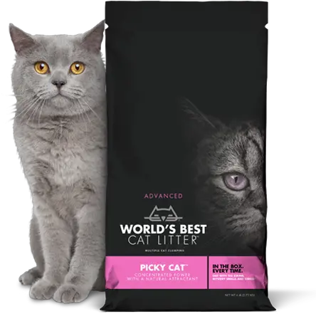  Worlds Best Cat Litter 6lb Jco Best Cat Litter Picky Cat Png Litter Png